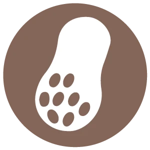 Shop product image!